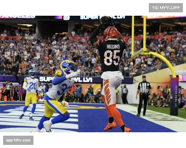 伦敦赛公羊对阵美洲虎 国际赛场展现NFL魅力 伦敦赛公羊对阵美洲虎 国际赛场展现NFL魅力